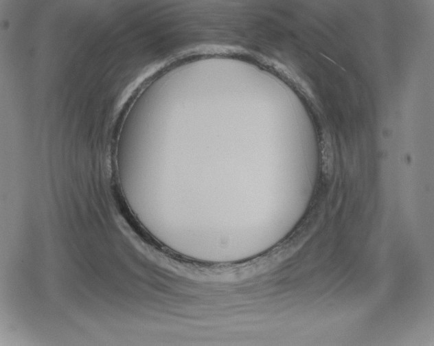 X0000079290015200612151713