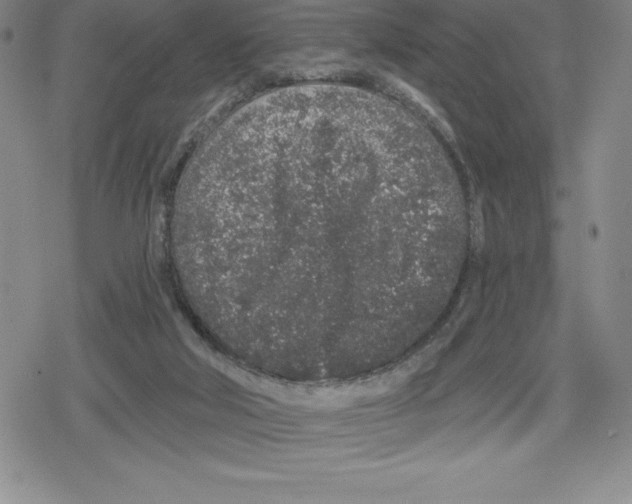 X0000079290018200612151713