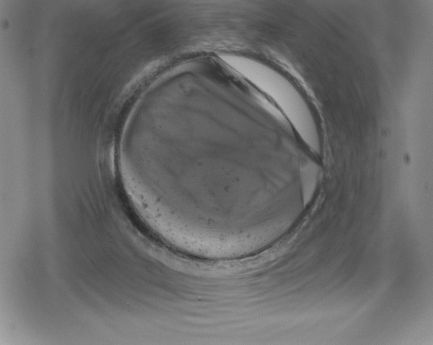 X0000079290019200612151713