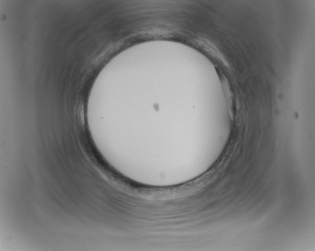 X0000079290021200612151713