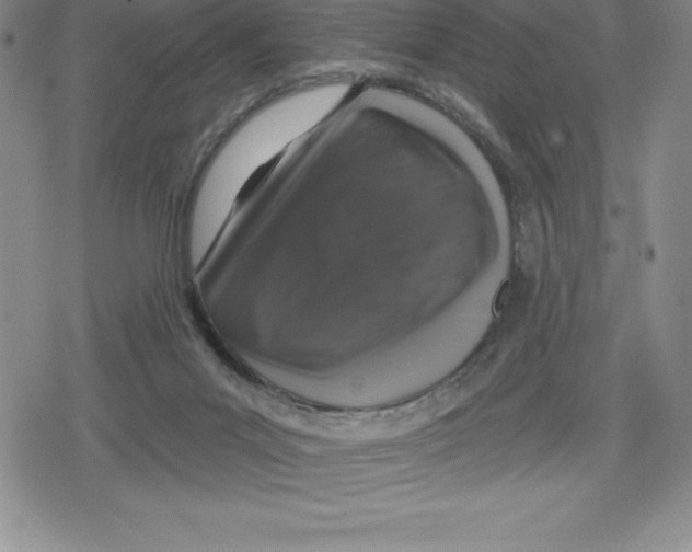 X0000079290023200612151713