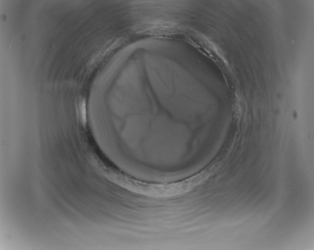 X0000079290027200612151713