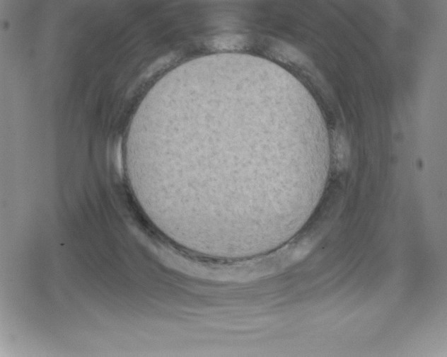 X0000079290028200612151713