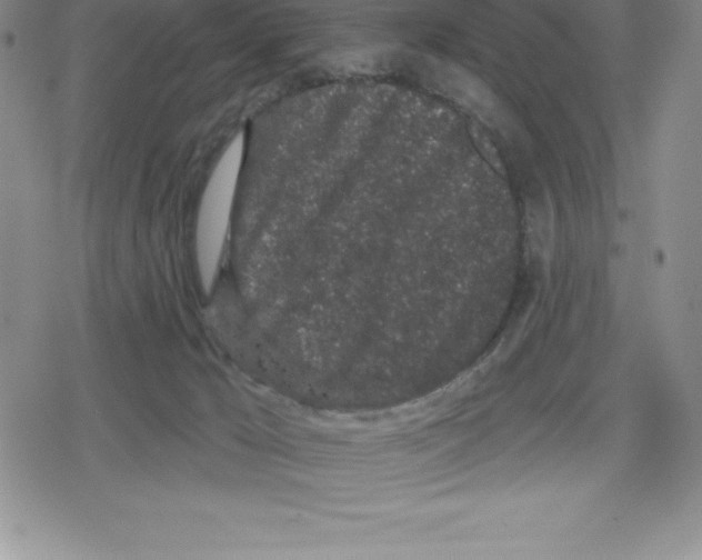 X0000079290029200612151713