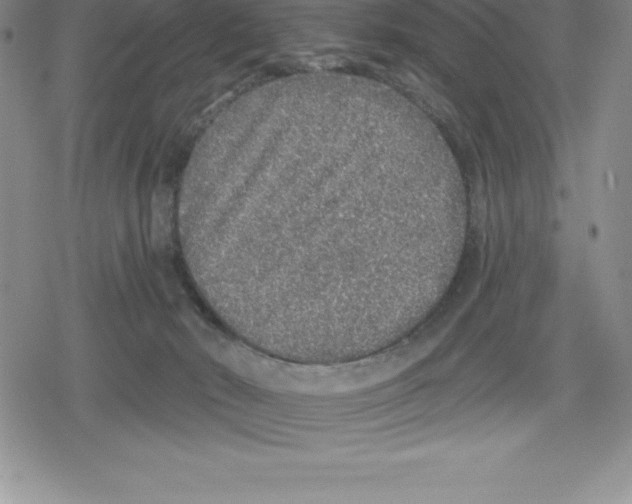 X0000079290030200612151713