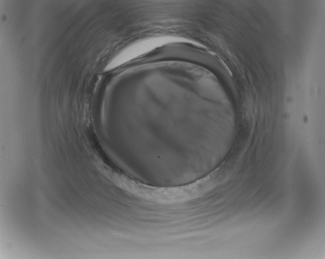 X0000079290031200612151713