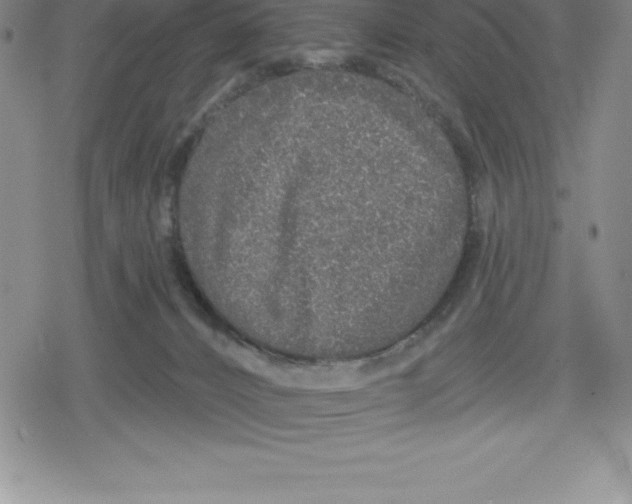 X0000079290032200612151713