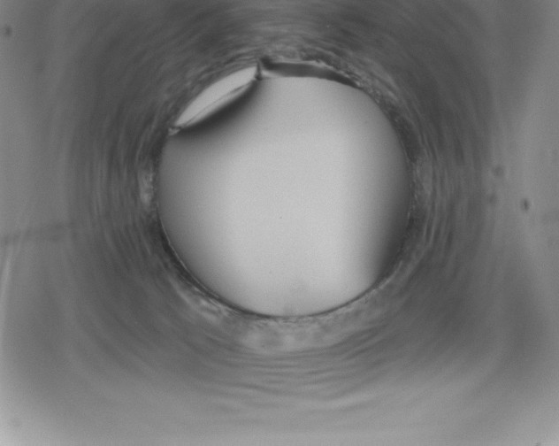 X0000079290033200612151713