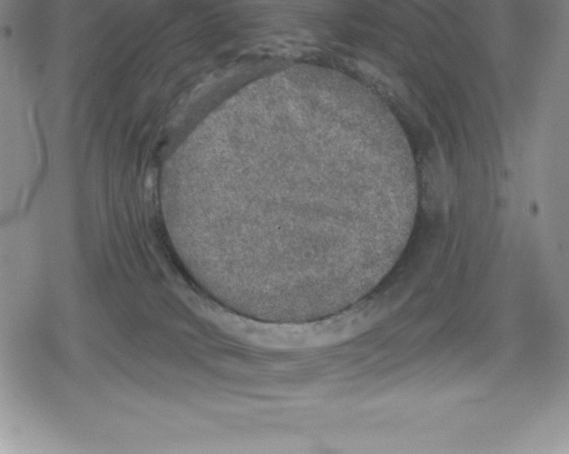 X0000079290034200612151713