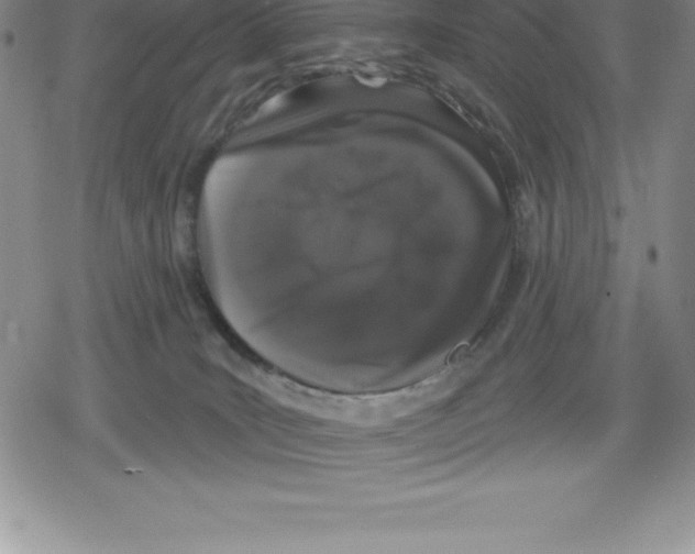 X0000079290035200612151713