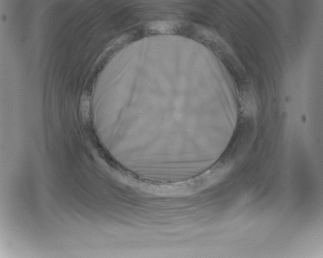 X0000079290036200612151713