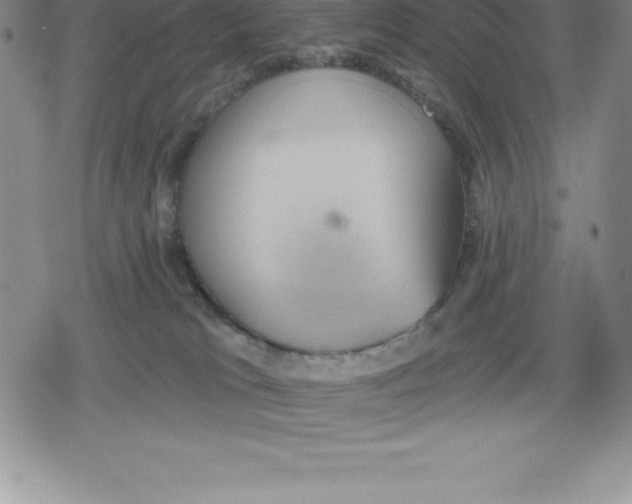 X0000079290037200612151713