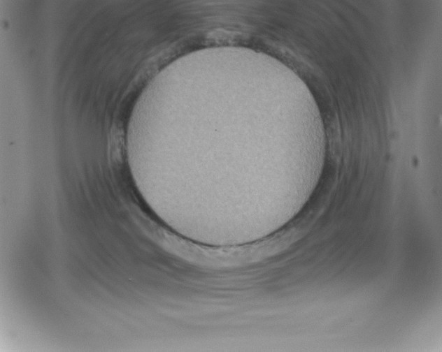 X0000079290038200612151713