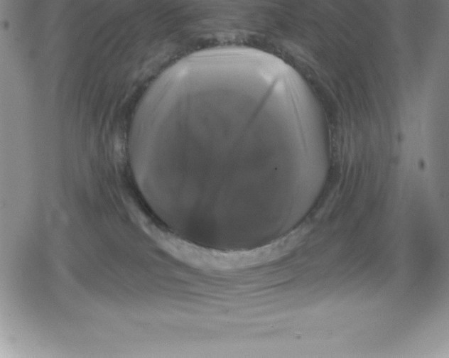 X0000079290039200612151713