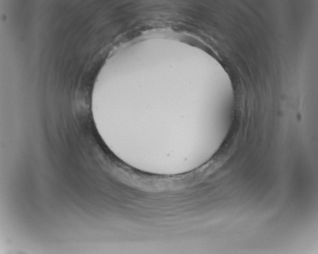 X0000079290040200612151713