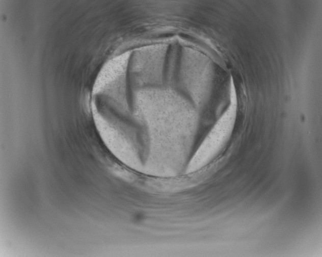 X0000079290041200612151713