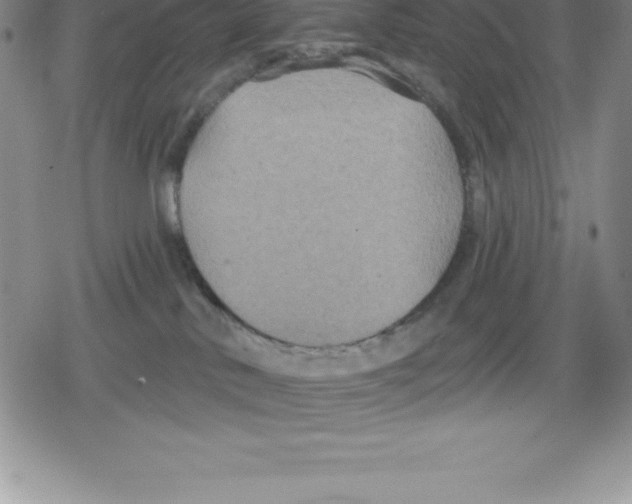 X0000079290042200612151713