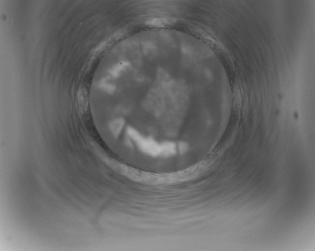 X0000079290043200612151713