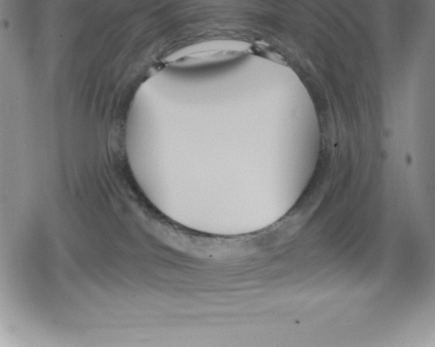 X0000079290044200612151713