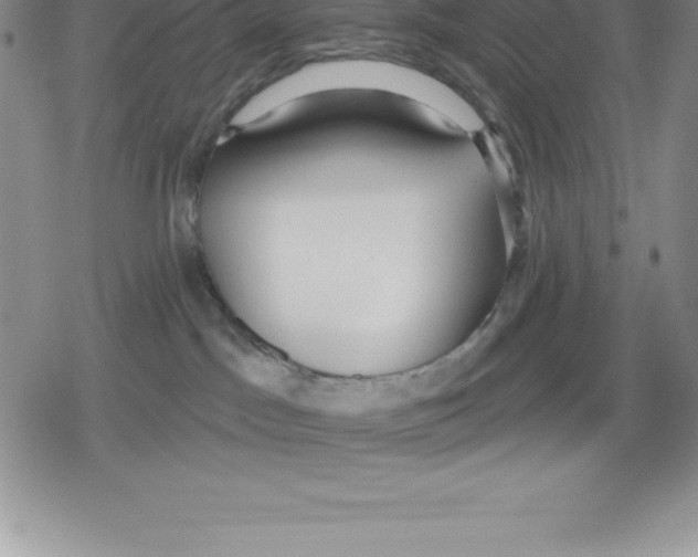 X0000079290045200612151713