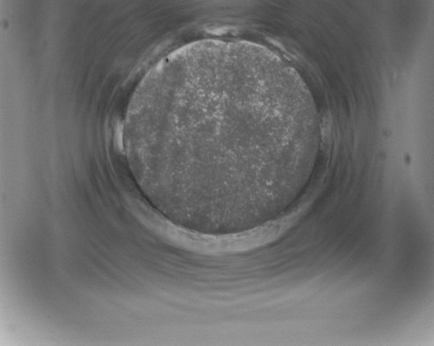 X0000079290046200612151713