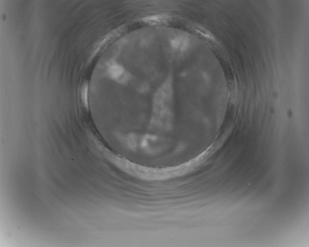 X0000079290047200612151713