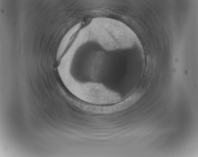 X0000079290048200612151713