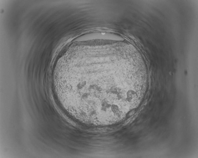 X0000079290049200612151712