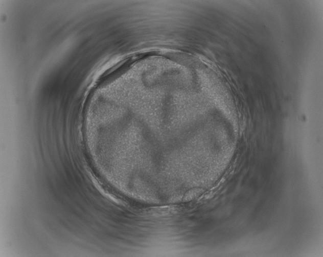 X0000079290050200612151712