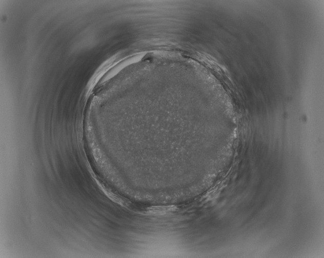 X0000079290051200612151712