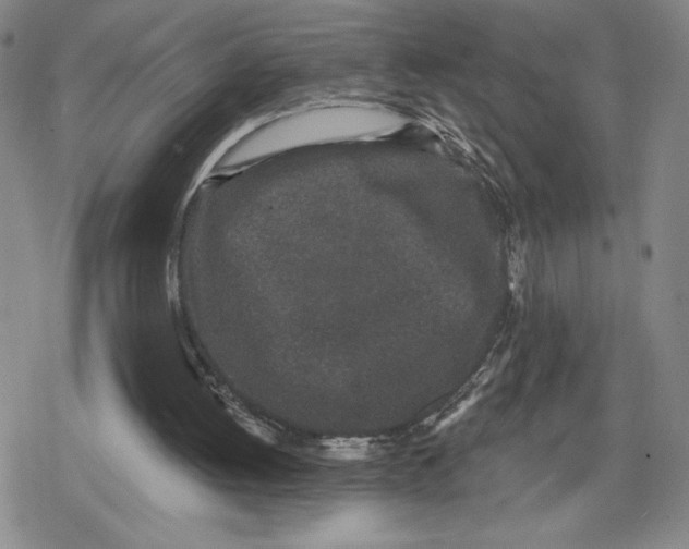 X0000079290052200612151712