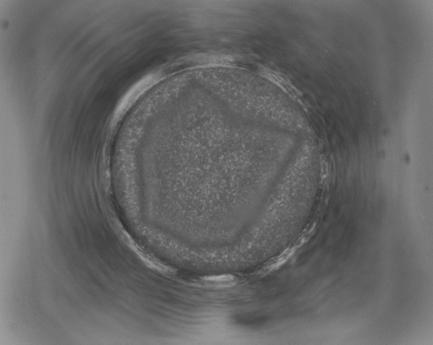 X0000079290053200612151712