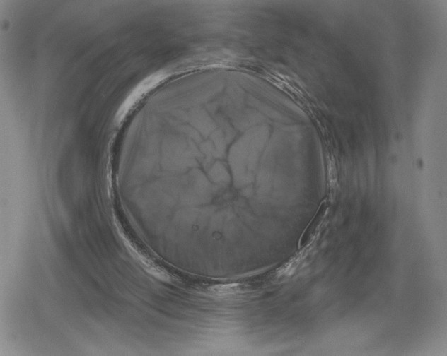 X0000079290054200612151712