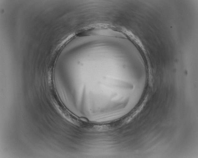 X0000079290057200612151712