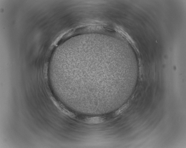 X0000079290058200612151712