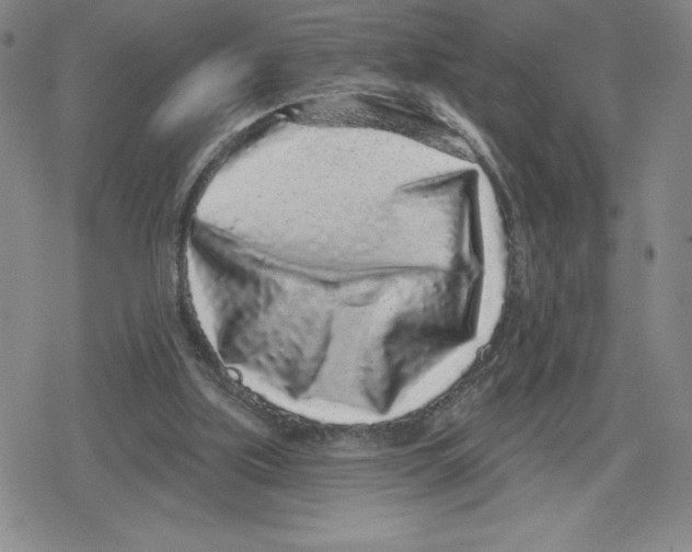 X0000079290059200612151712