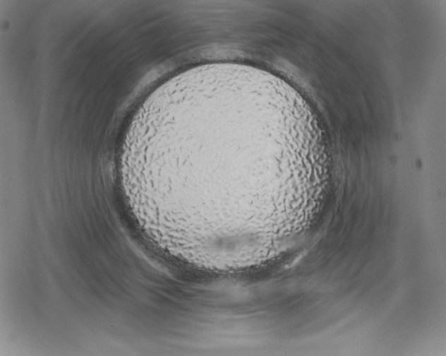 X0000079290063200612151712