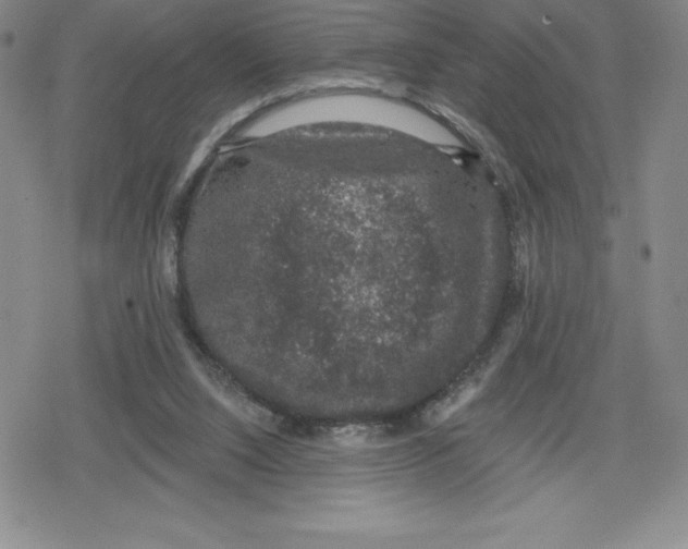 X0000079290064200612151712