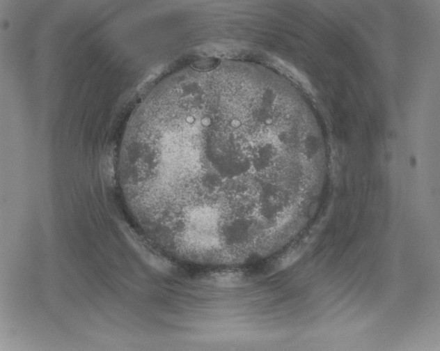 X0000079290065200612151712