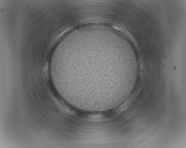 X0000079290066200612151712