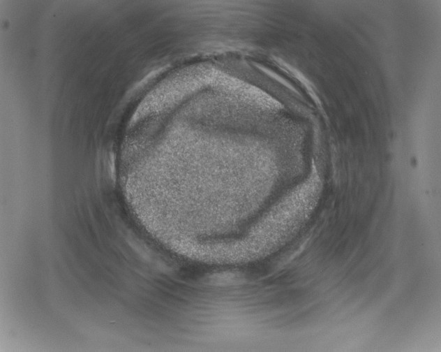 X0000079290067200612151712