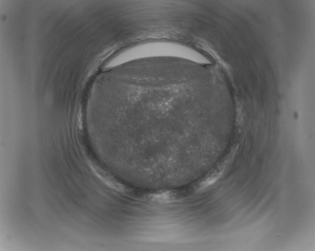 X0000079290068200612151712