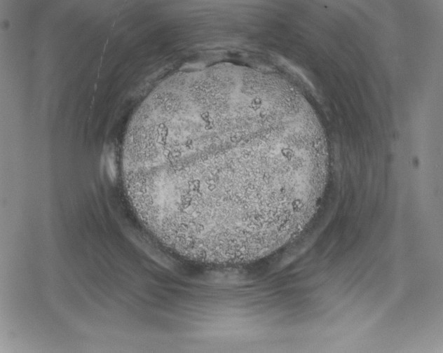 X0000079290069200612151712