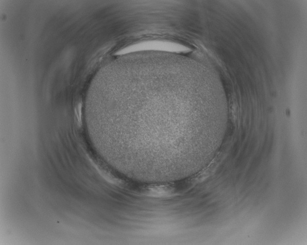 X0000079290070200612151712