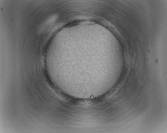 X0000079290071200612151712