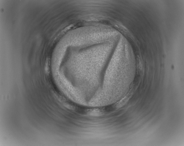 X0000079290074200612151712