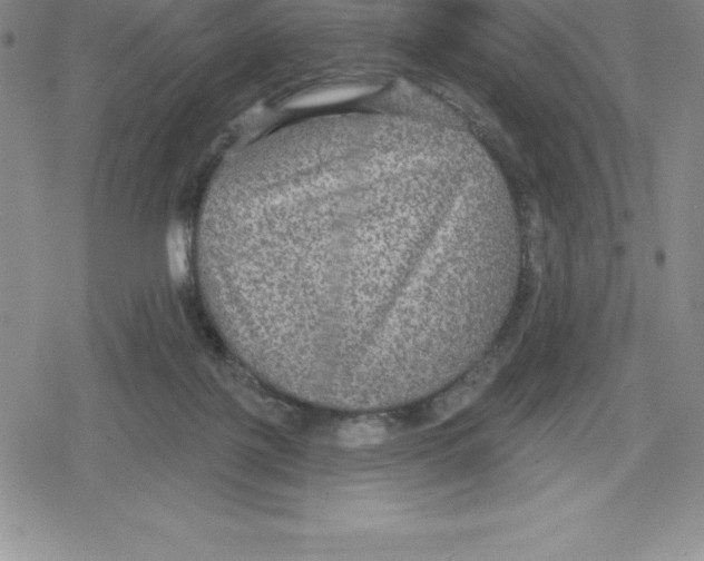 X0000079290075200612151712