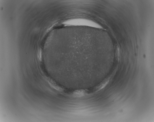 X0000079290076200612151712