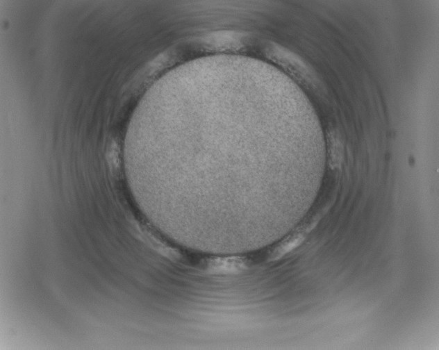 X0000079290077200612151712