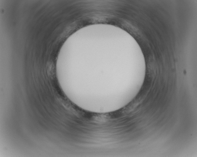 X0000079290079200612151712